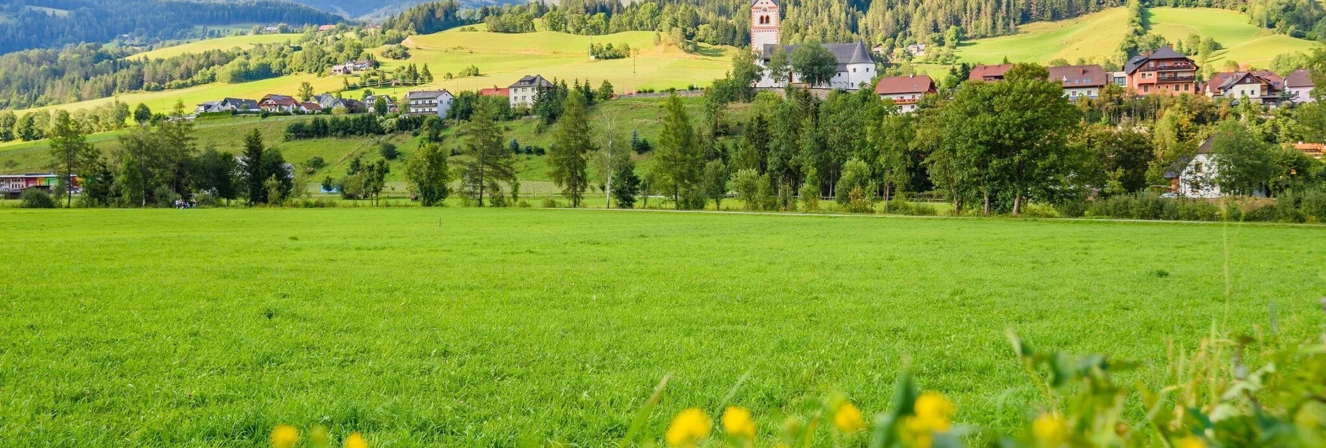 Mountain Biking Greim-Tour - Touren-Impression #1 | © Tourismusverband Murau