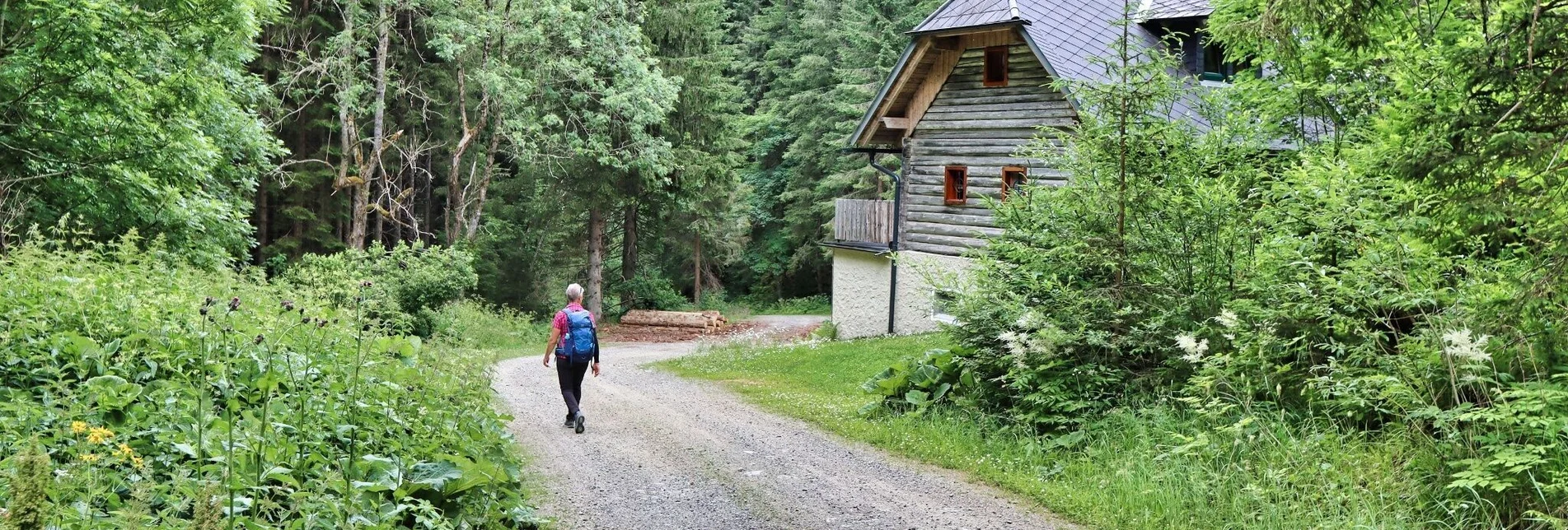 Wanderung Steinplan von der Rachau - Augerlgraben - Touren-Impression #1 | © Weges OG