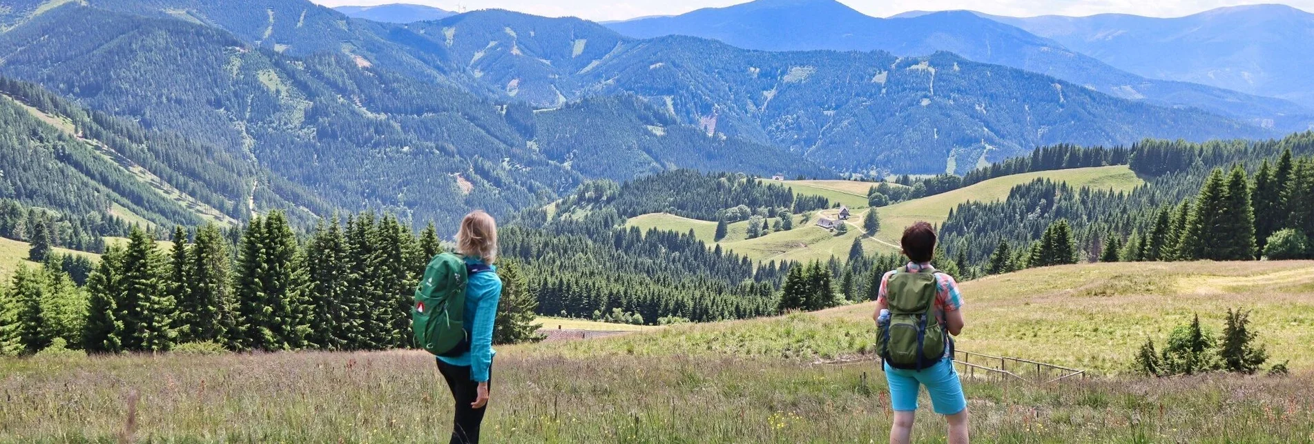 Hiking route Steinplan from the Rachau - Augerlgraben - Touren-Impression #1 | © Weges OG