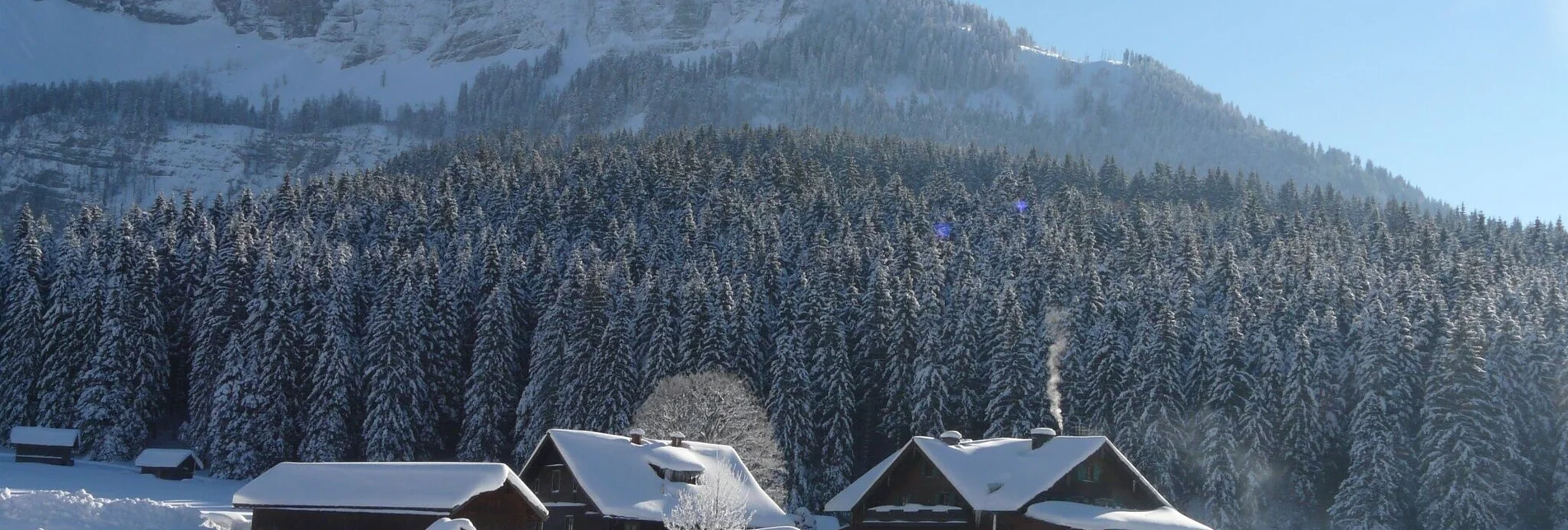 Winterwandern Winterwanderung Blaa Alm - Touren-Impression #1 | © Ausseerland