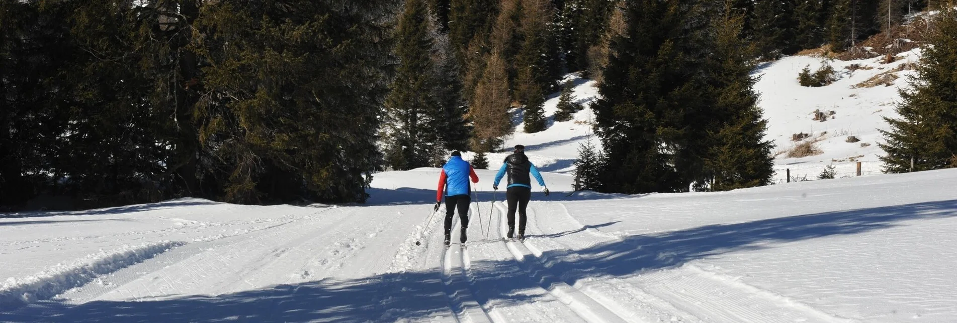 Langlauf klassisch Höhenloipe Lachtal - Touren-Impression #1 | © Tourismusverband Murau