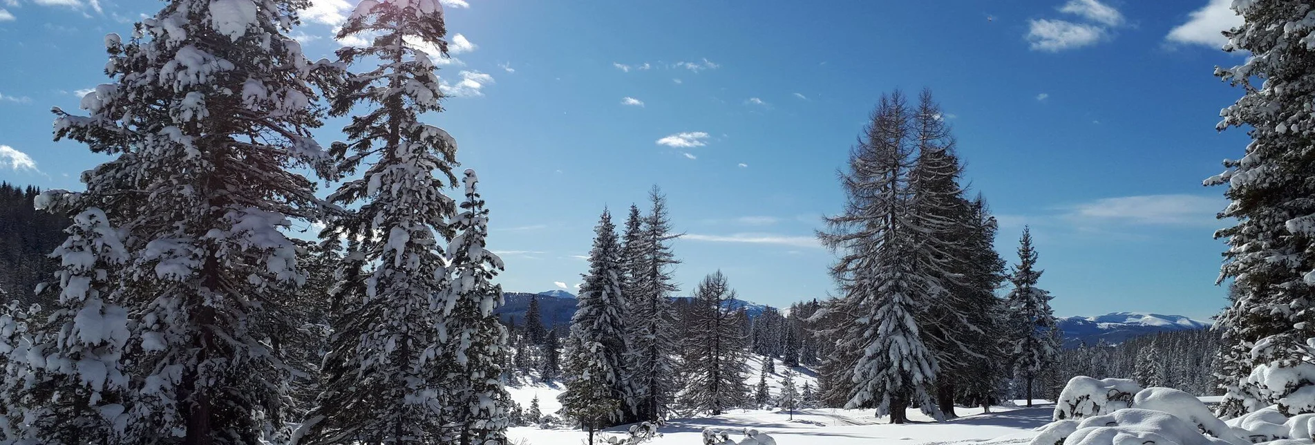 Winterwandern Badesee Krakaudorf - Touren-Impression #1 | © Tourismusverband Murau