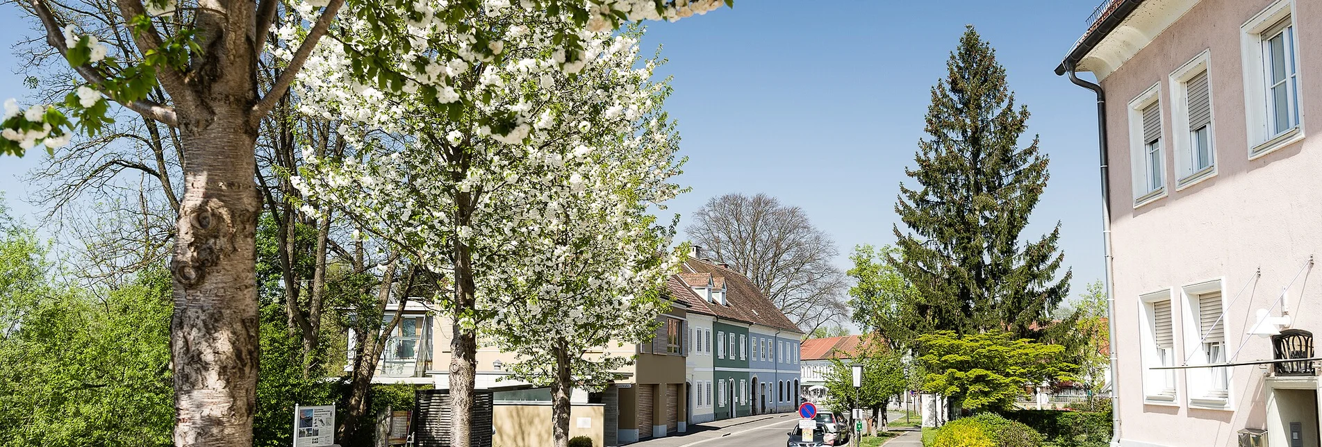 Radfahren Herberstorff-Tour - Touren-Impression #1 | © Thermen- & Vulkanland