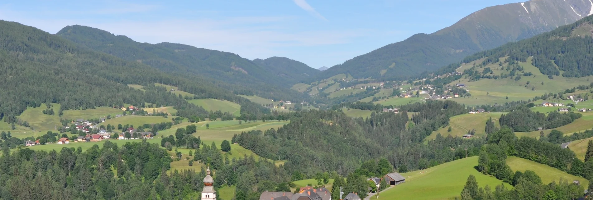 Nordic Walking Birkfeld route - Touren-Impression #1 | © Tourismusverband Murau