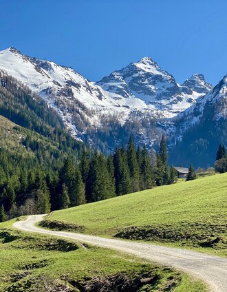 Bergpanorama im Gumpental | Fam. Hofer | © Maierlalm