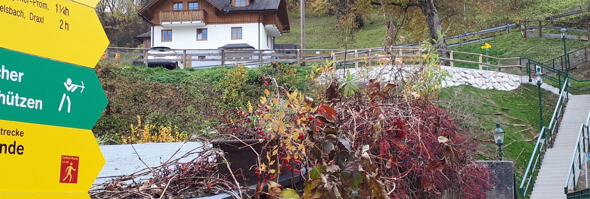 Nordic Walking Bad Aussee - Grundlsee - Gallhof - Hintenkogl - St. Leonhard - Touren-Impression #1 | © Ausseerland