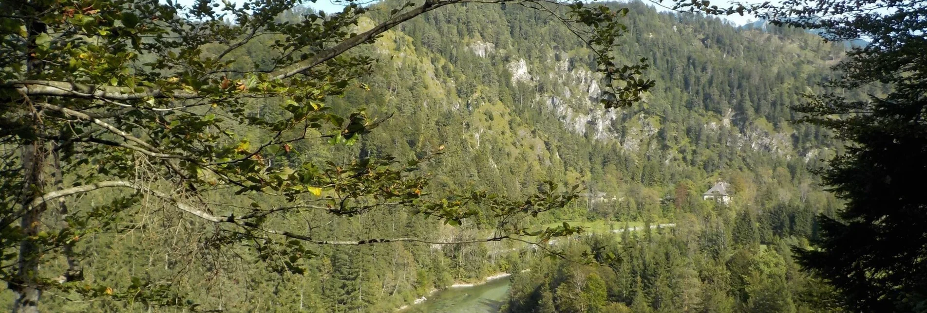 Hiking route Wildalpen - Burgstallort - Touren-Impression #1 | © Tourismusverband Wildalpen