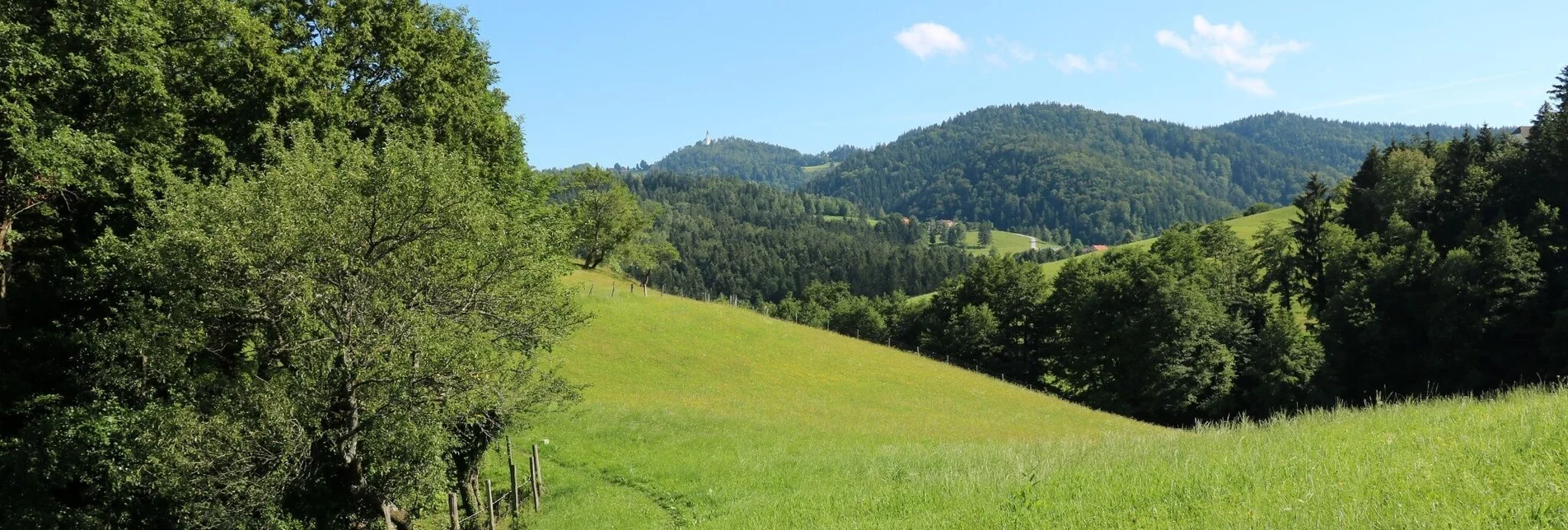 Wanderung UrKräuterweg am Remschnigg - Touren-Impression #1 | © TV Südsteiermark