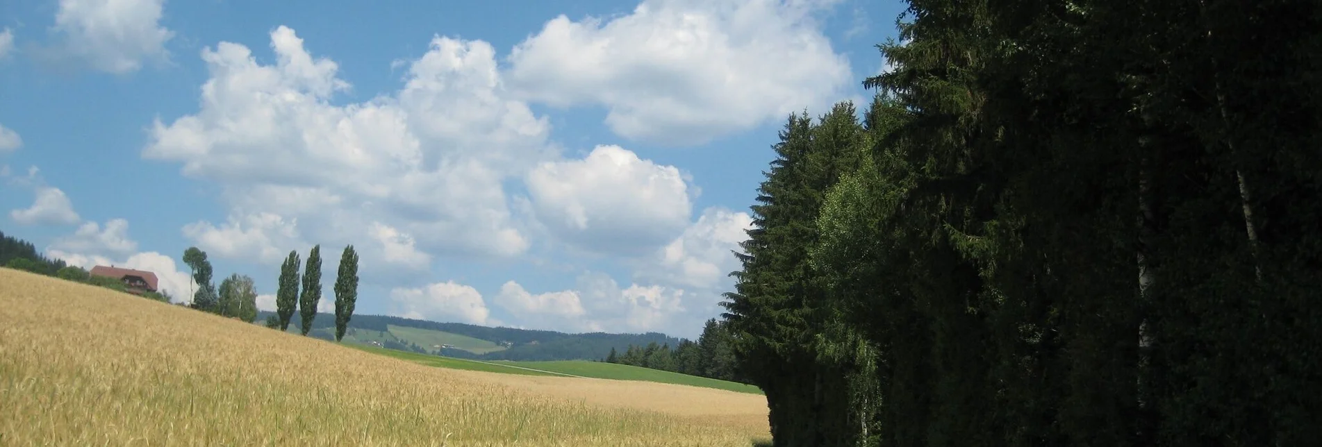 Wanderung Rundwanderweg - Ortsgrenze St. Jakob im Walde, Nr. 7, Wenigzell - Touren-Impression #1 | © Oststeiermark Tourismus