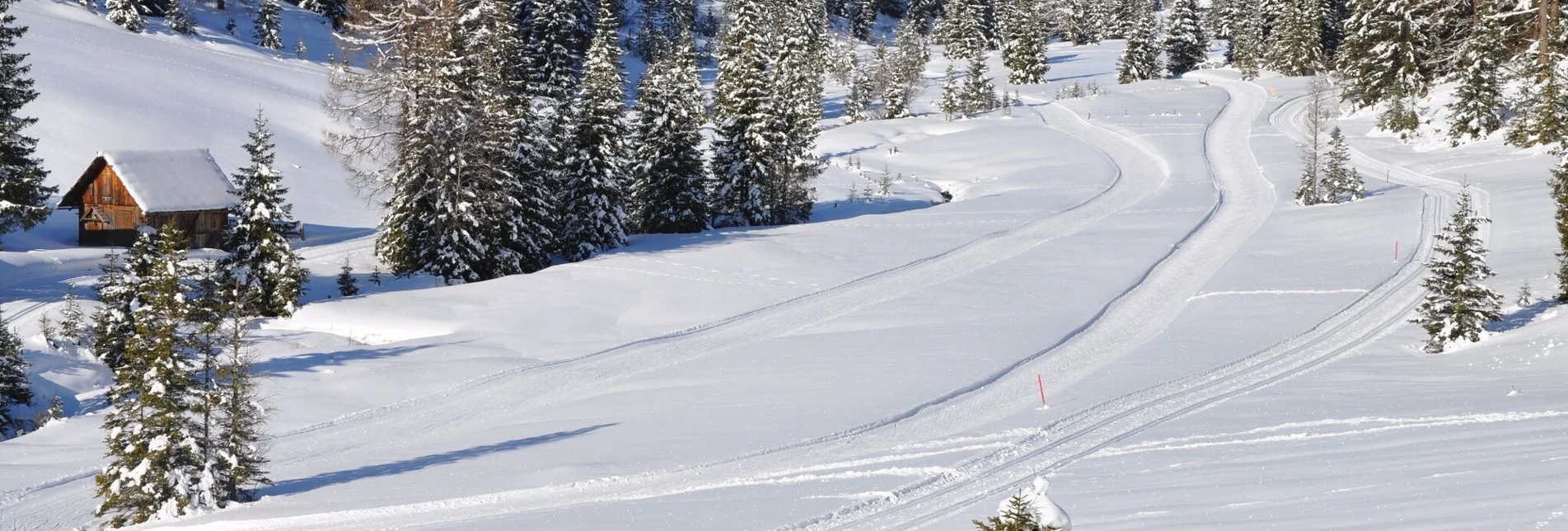 Ski nordic skating Prebersee high-altitude cross-country ski trail - Touren-Impression #1 | © Tourismusverband Murau