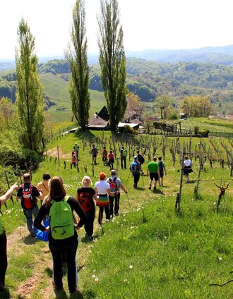 Nordic Walking Vinotour | © Südsteiermark