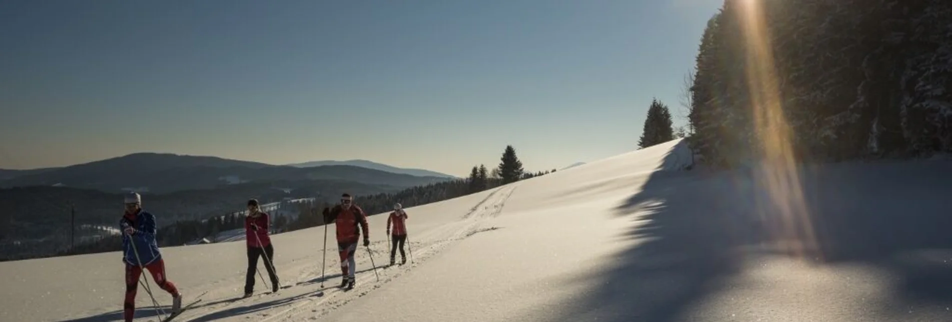 Ski nordic skating Eggberg trail Joglland trail, St. Jakob im Walde - Touren-Impression #1 | © GH Orthofer, Bernhard Bergmann