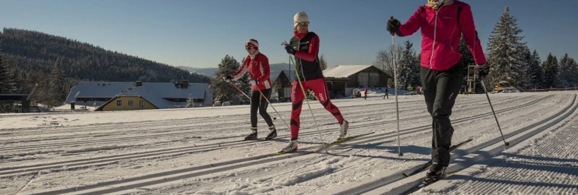 Ski nordic skating House trail Jogllandloipe, St. Jakob im Walde - Touren-Impression #1 | © GH Orthofer, Bernhard Bergmann