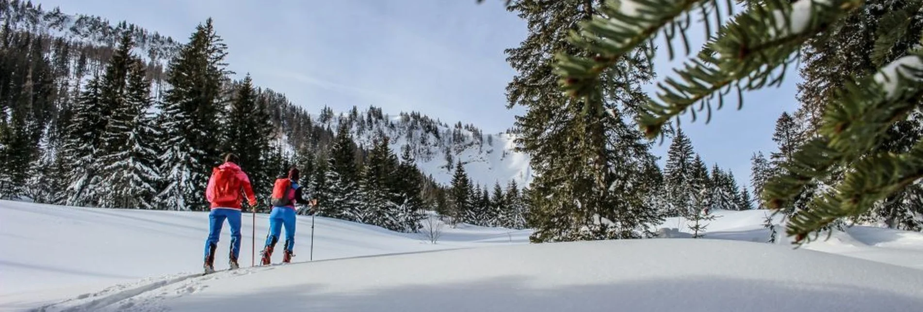 Ski Touring Ski tour from Bad Mitterndorf/Zauchen to the Tauplitzalm - Touren-Impression #1 | © TVB Ausseerland-Salzkammergut_Berghasen