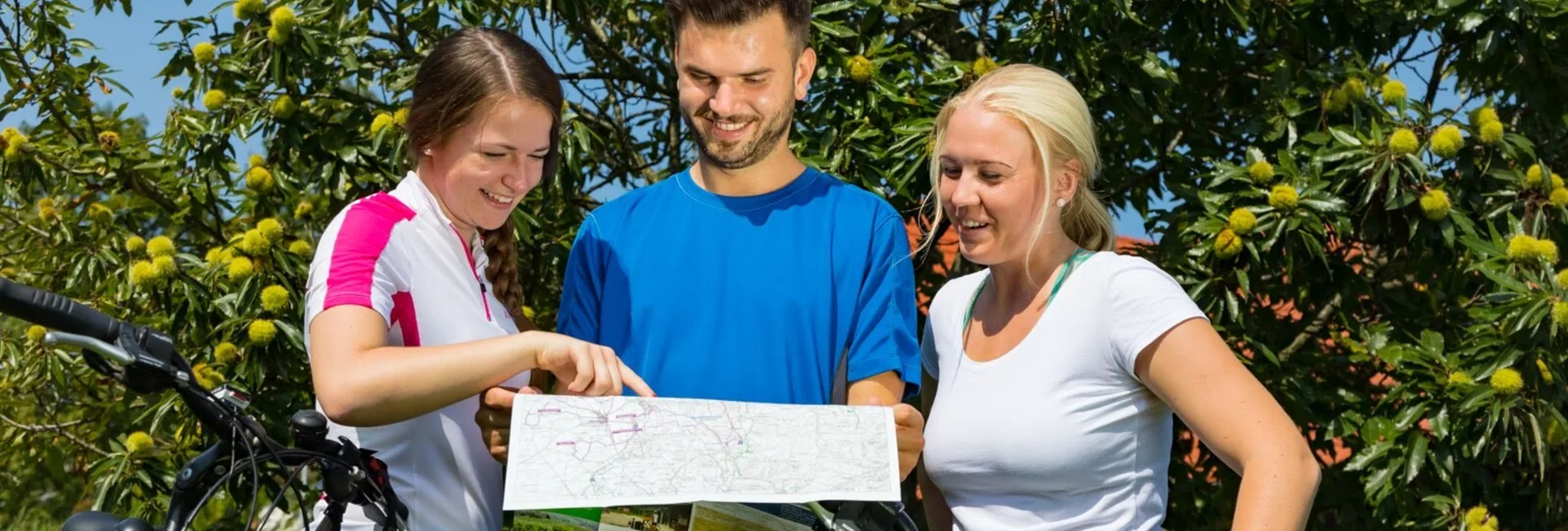 Radfahren FB12 Kastanientour Thermen- & Vulkanland Steiermark - Touren-Impression #1 | © Thermen- & Vulkanland