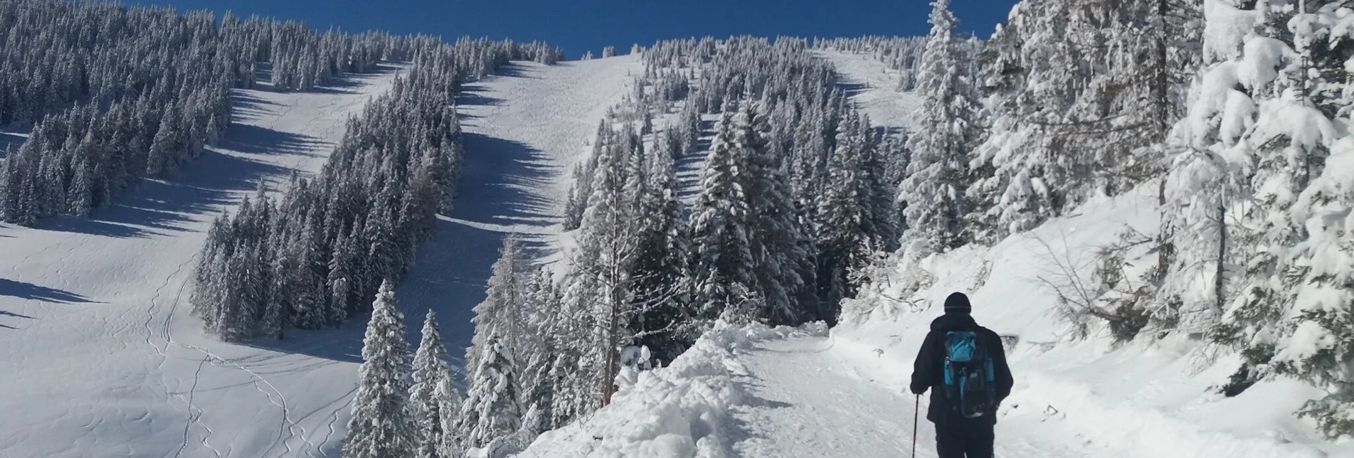 Snowshoe walking Ochsenrunde - Touren-Impression #1 | © Region Graz