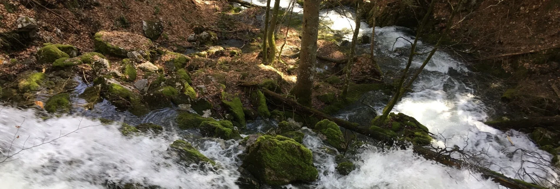 Hiking route Erlaufursprung - Touren-Impression #1 | © TV Hochsteiermark