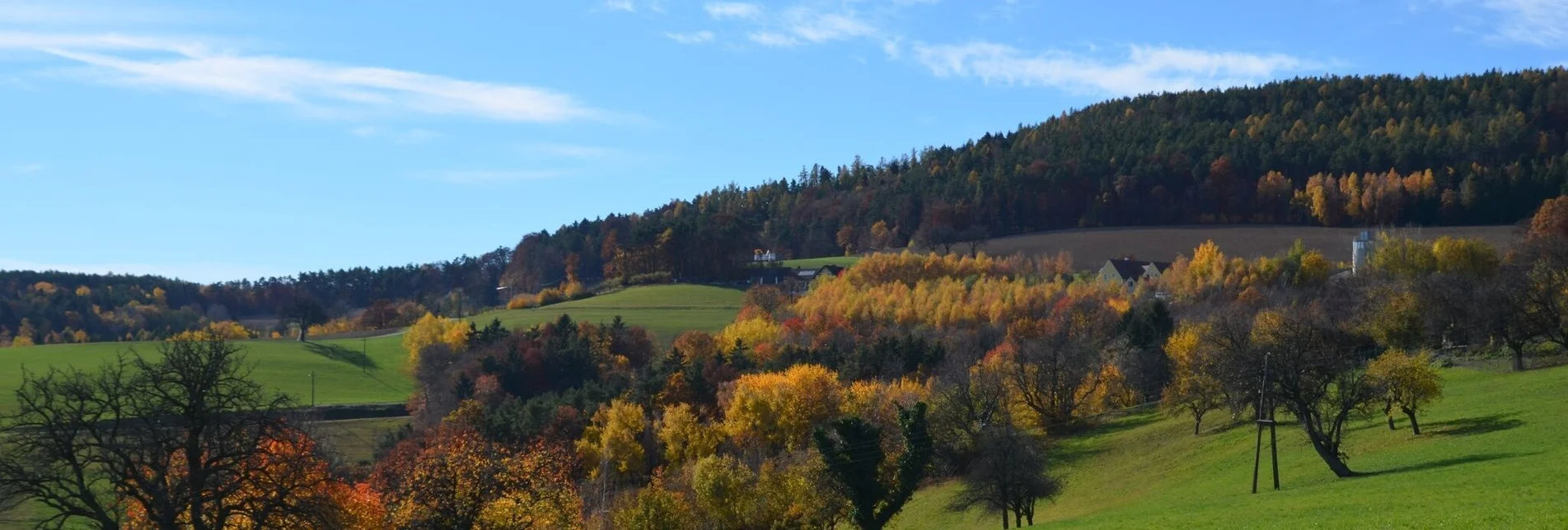 Wanderung M4 Fichtenbründl-Weg - Touren-Impression #1 | © TV Thermen- & Vulkanland