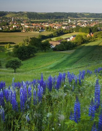 rückgrat: feldbach-bad gleichenberg - auf den spuren der vulkane_img_27736369 | Conterfei | © Erlebnisregion Thermen- & Vulkanland