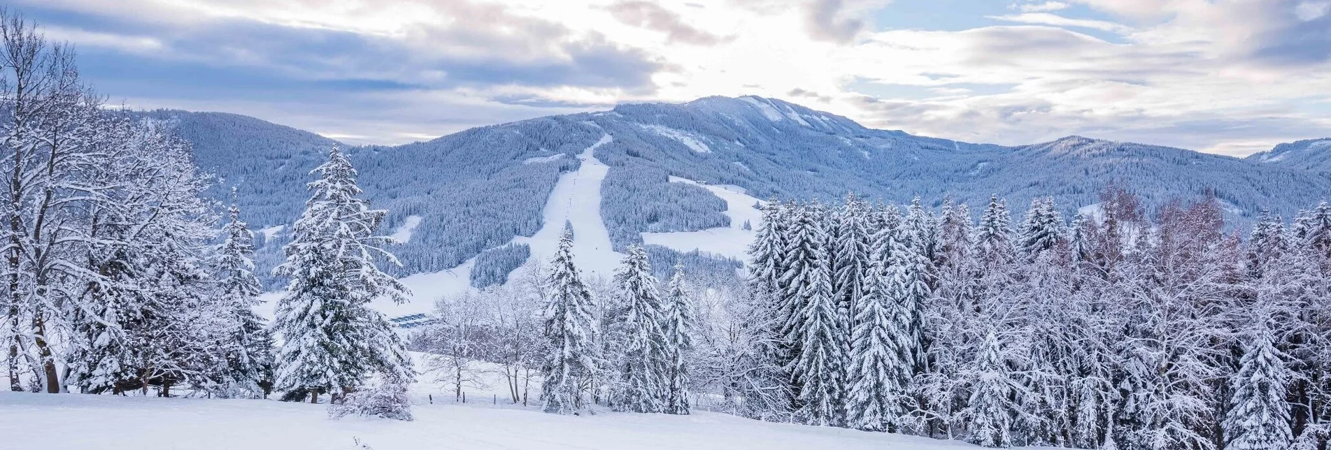 Skitour Grebenzenhöhe - Touren-Impression #1 | © Tourismusverband Murau