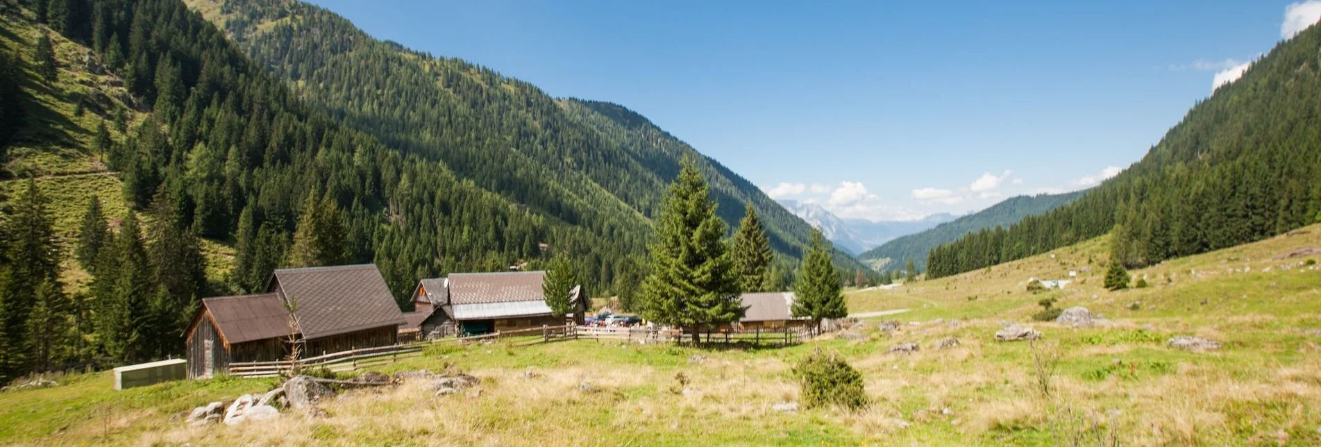 Mountain Biking Planneralm Tour | 17 - Touren-Impression #1 | © Planneralm - Tom Lamm