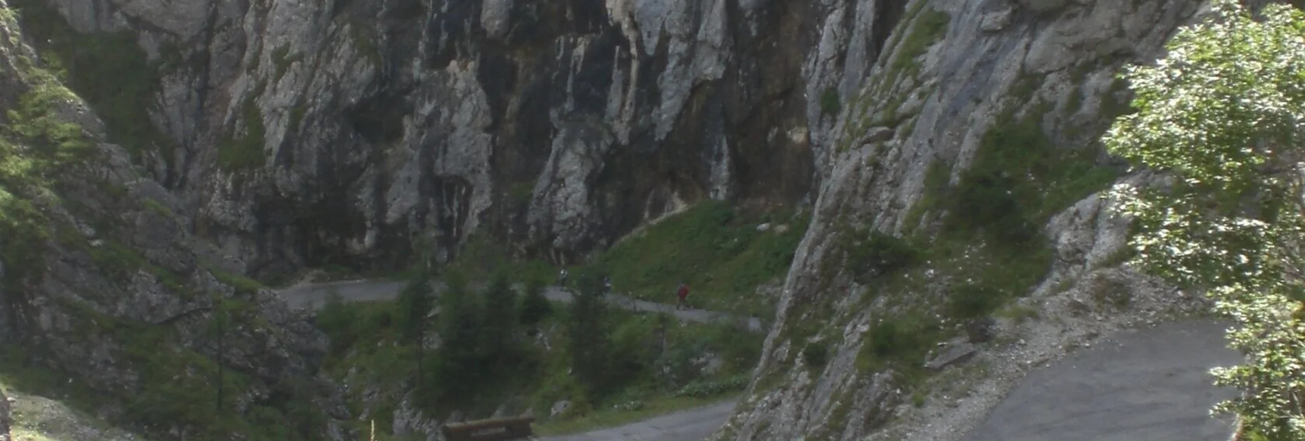 Mountain Biking Viehberg Tour | 314 - Touren-Impression #1 | © Erlebnisregion Schladming-Dachstein