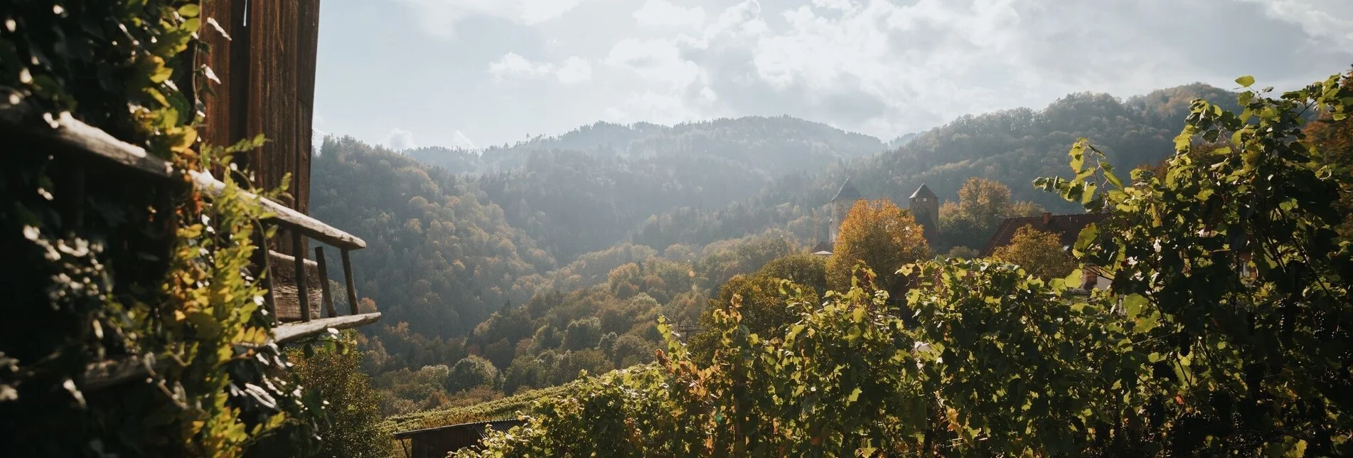 Wanderung Rundweg über Schloss Wildbach - F3 - Touren-Impression #1 | © TVB/Südsteiermark/Lupi Spuma