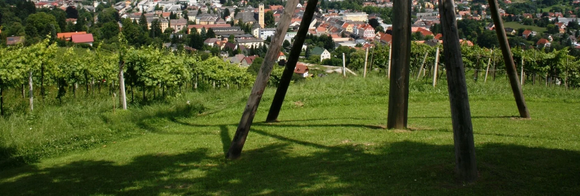 Wanderung Oberlaufenegger Schilcherrundweg S - Touren-Impression #1 | © Südsteiermark