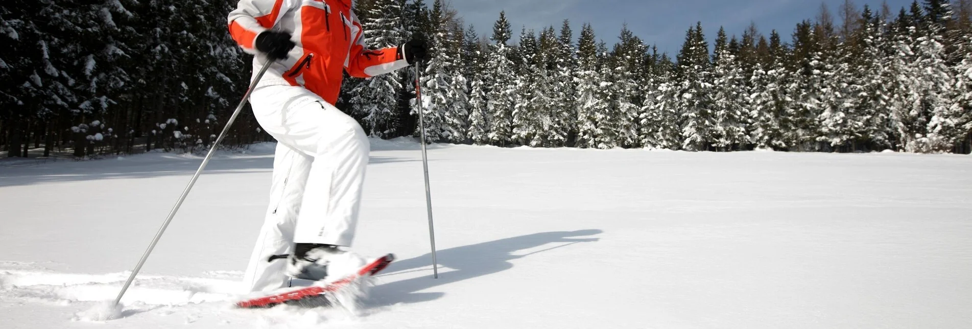 Schneeschuh Dem Fischbach mit Schneeschuhen entlang, Fischbach - Touren-Impression #1 | © Stiermark Tourismus, Schiffer-Symbol