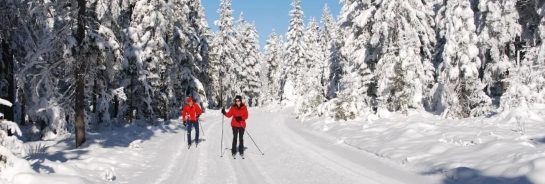 Ski-nordic-classic Panorama trail - cross-country skiing center Hochwechsel/ Rabl-Kreuz, Waldbach-Mönichwald - Touren-Impression #1 | © Oststeiermark Tourismus