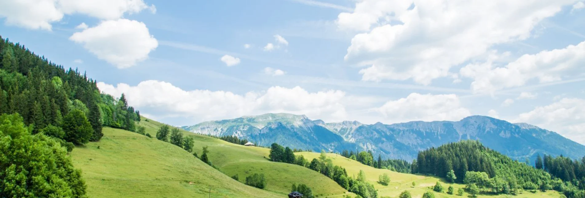 Mountain Biking BergRadlRunde Falkensteinalm - Touren-Impression #1 | © TV Hochsteiermark