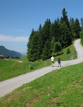 Easy walk along the Rittisberg Trail | Schladming Dachstein | © Schladming-Dachstein