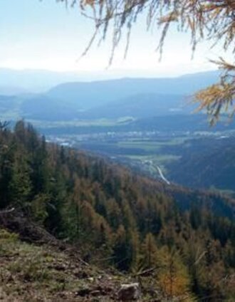 Hohe Rötz am Silbersberg | TV HerzBergLand | © TV Hochsteiermark