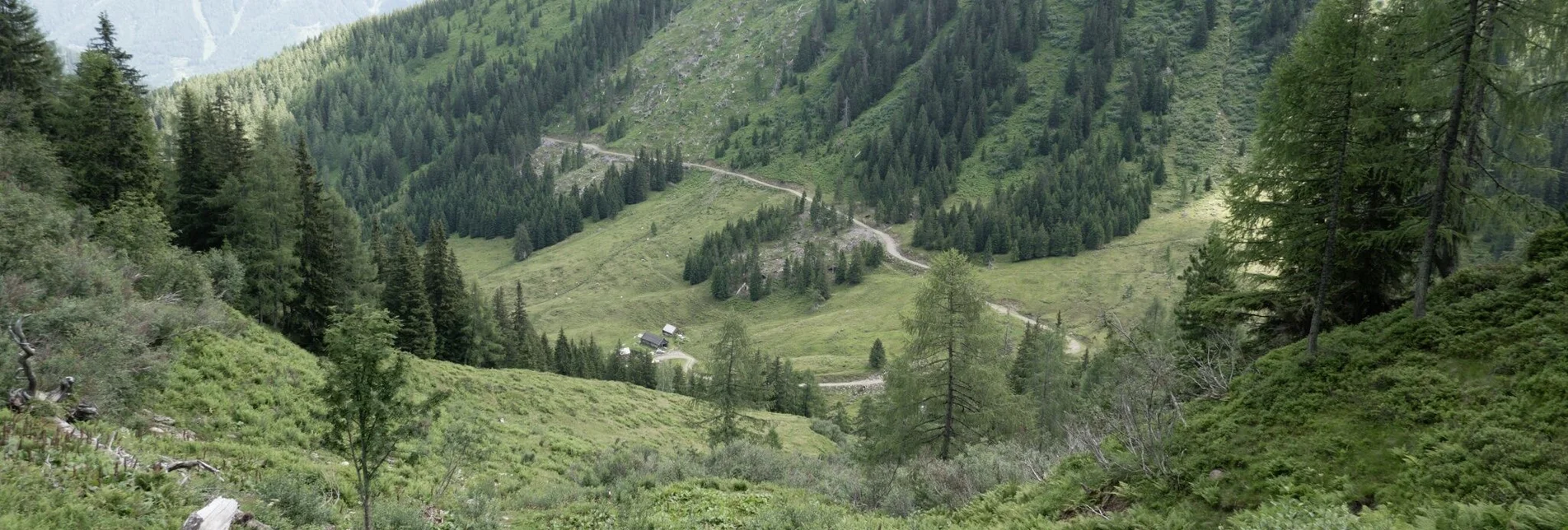 Wanderung Großes Bärneck - der Höchste im Mörsbachtal - Touren-Impression #1 | © Erlebnisregion Schladming-Dachstein