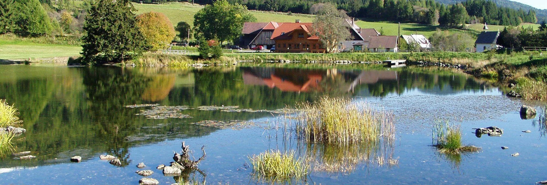 Hiking route From Neumarkt via town lake to Mühlen - Touren-Impression #1 | © Tourismusverband Murau