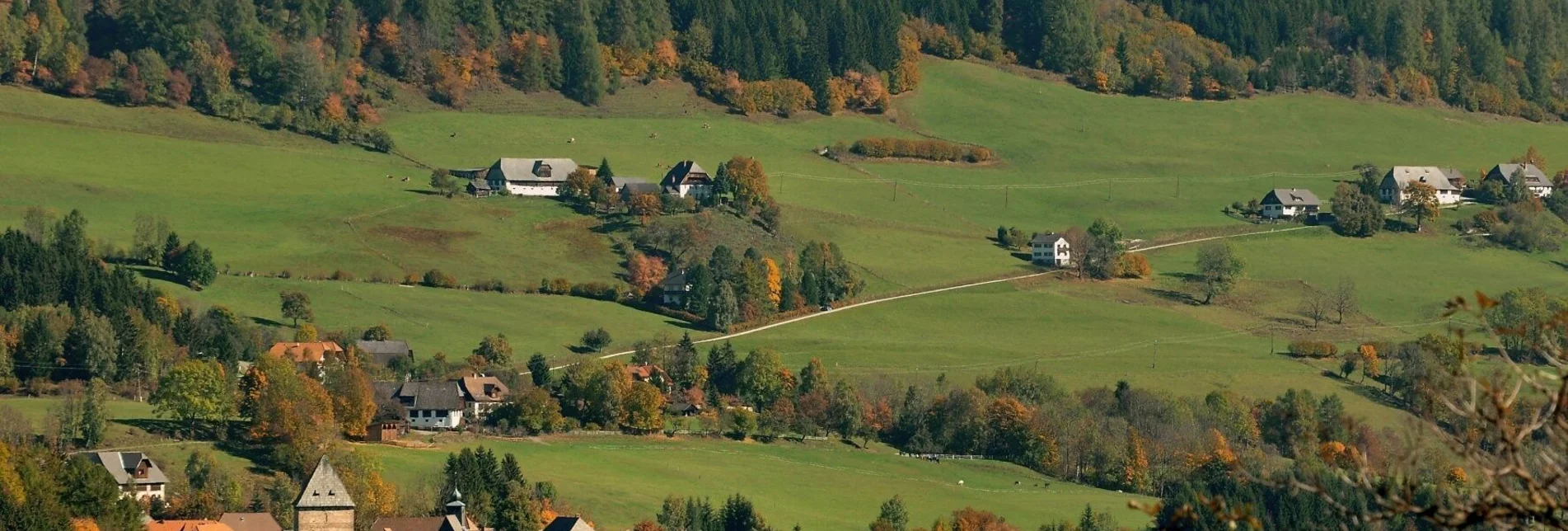 Wanderung Feistritzer Aussichtswanderung auf den Wachenberg - Touren-Impression #1 | © Tourismusverband Murau