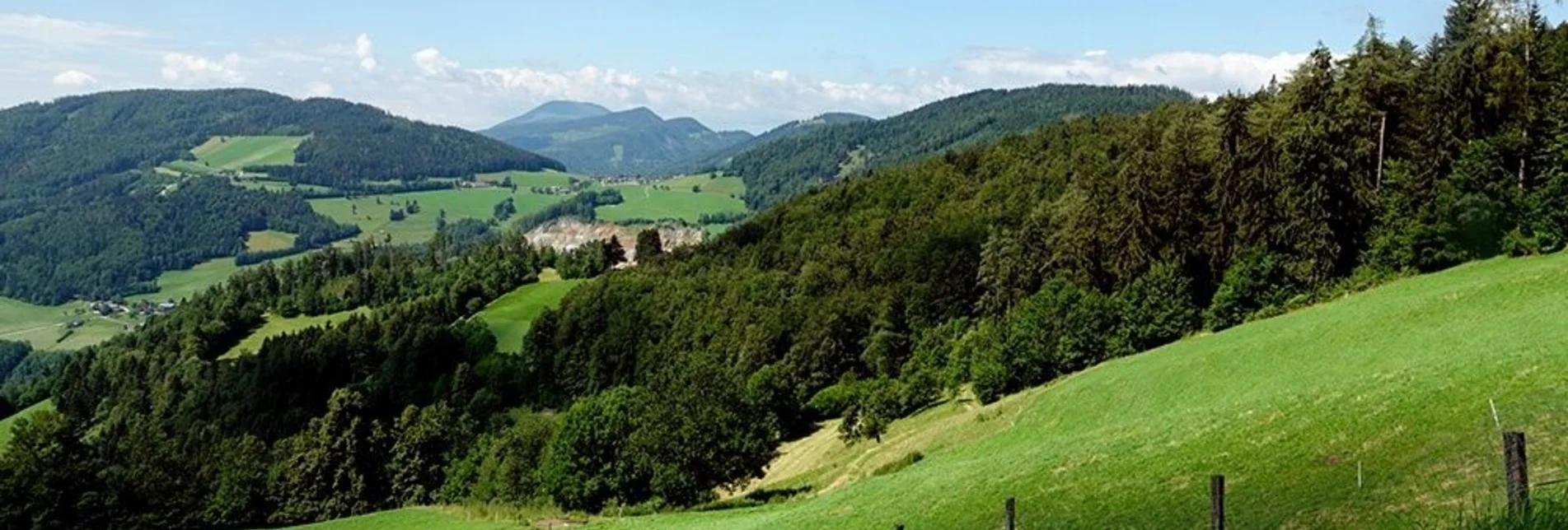 Mountain Biking Weizer Almenland-bike tour, variant 3: St. Kathrein - Arzberg - Weiz - Touren-Impression #1 | © Oststeiermark Tourismus