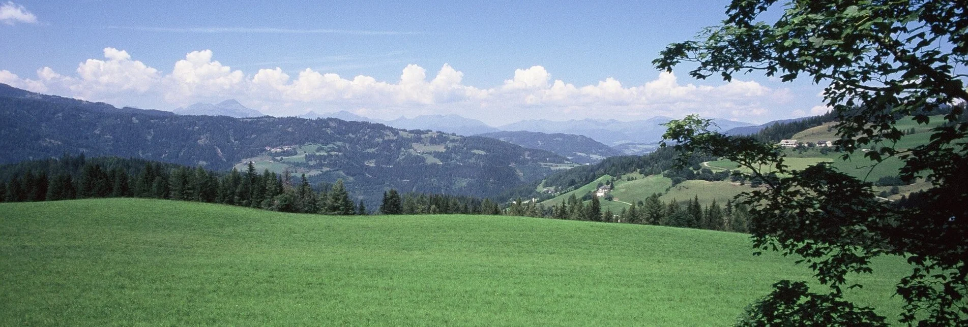 Hiking route Wölzer-Tauern-Blick round - Touren-Impression #1 | © Tourismusverband Murau