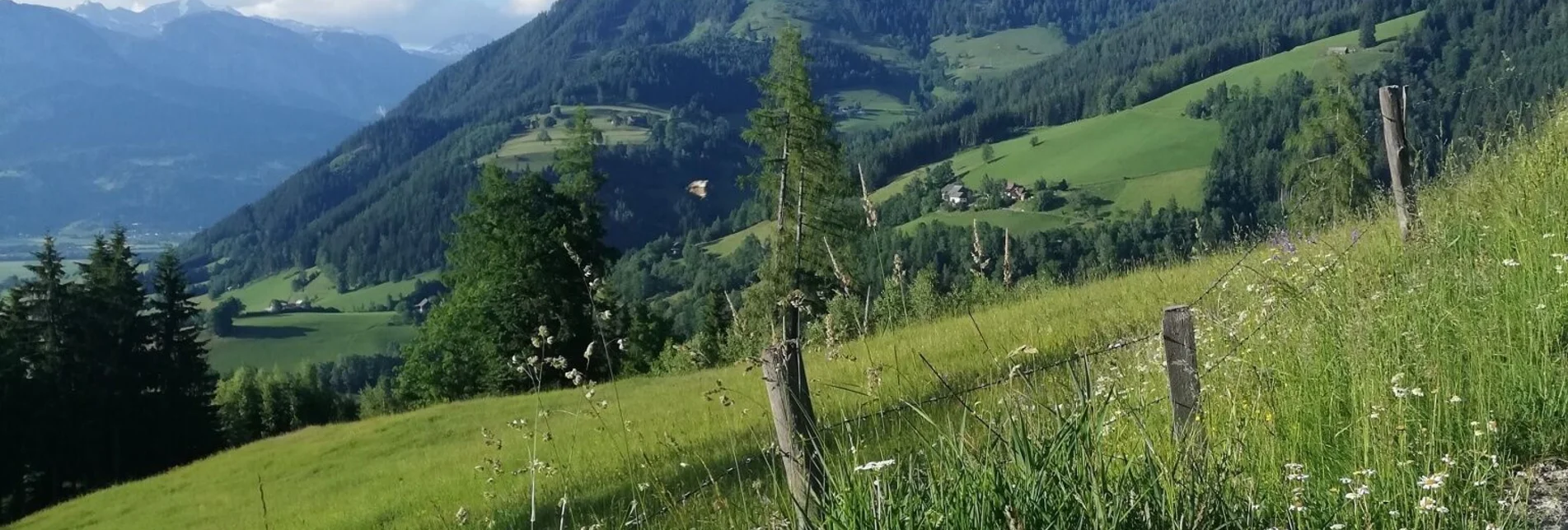 Wanderung Mölbegg Weg von Aigen - Touren-Impression #1 | © Tourismusverband Grimming-Donnersbachtal