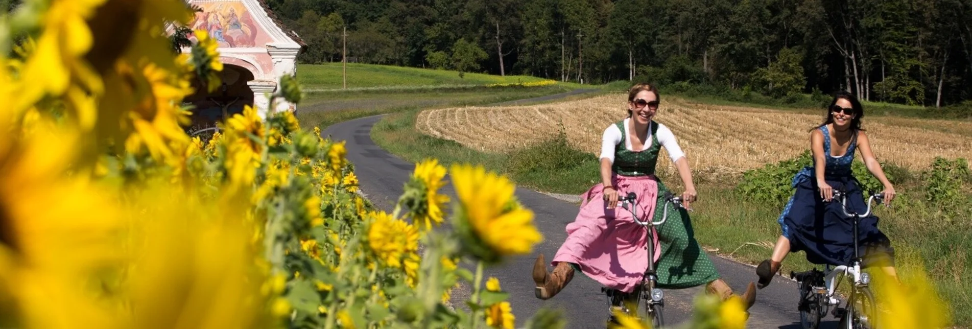 Radfahren Entdeckertour 7 - Vorau / Rohrbach an der Lafnitz / Hartberg / Pöllau / Vorau - Touren-Impression #1 | © Oststeiermark Tourismus