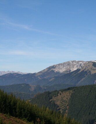 Blick vom Hocheck zum Veitsch-Massiv | Maria Steindl | © Maria Steindl