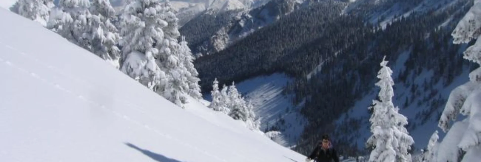 Schneeschuh Schneeschuhwanderparadies Hinteralm - Touren-Impression #1 | © Naturpark Mürzer Oberland