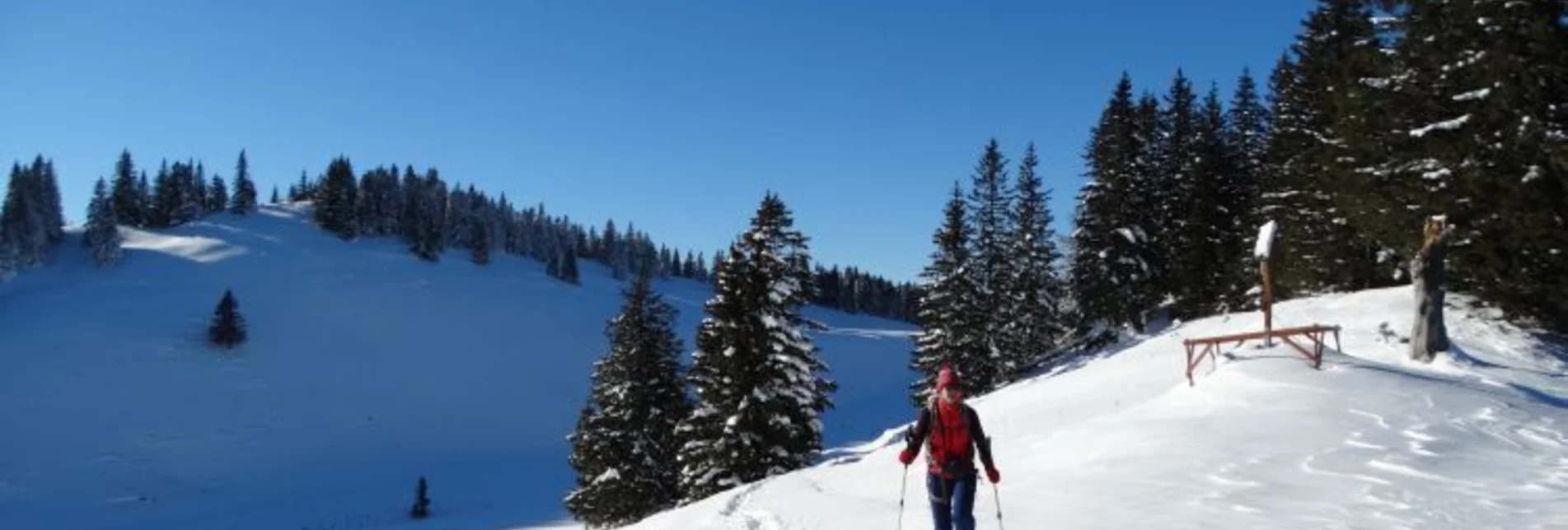 Schneeschuh Mit Schneeschuhen am Mariazellerweg - Touren-Impression #1 | © Naturpark Mürzer Oberland