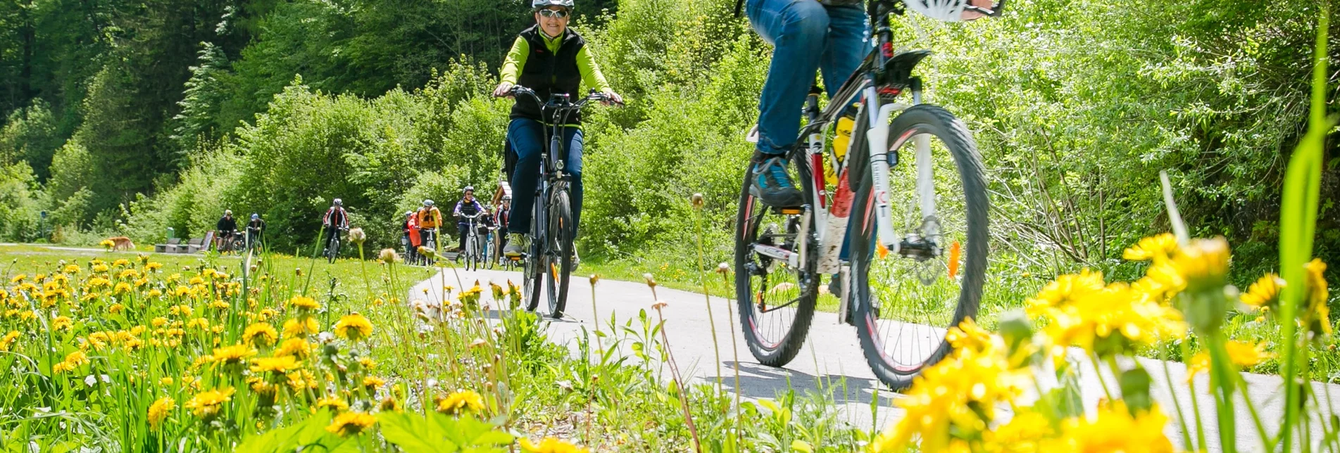 Radfahren Bahntrassenradeln am Mürztalradweg im Naturpark Mürzer Oberland - Touren-Impression #1 | © Naturpark Mürzer Oberland