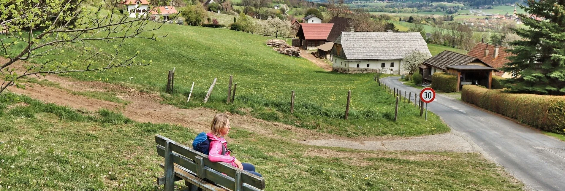 Hiking route Habring via Schalenstein - Touren-Impression #1 | © Weges OG