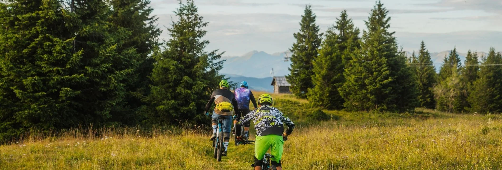 Mountain Biking Grebenzen Hightrail - Touren-Impression #1 | © Tourismusverband Murau