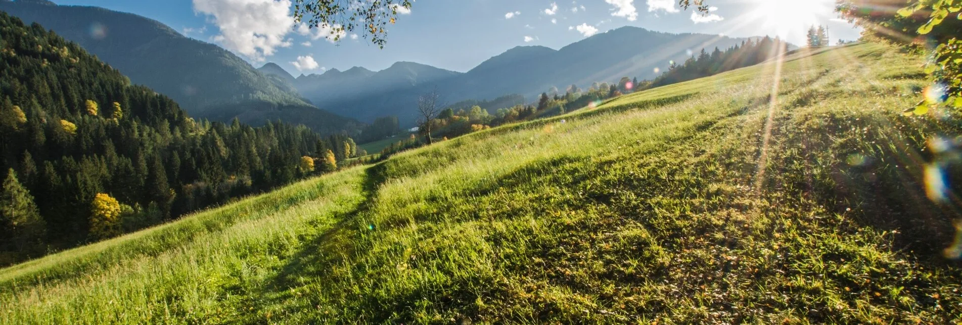 Hiking route Rohrmoos Tour - Touren-Impression #1 | © Gerhard Pilz - www.gpic.at
