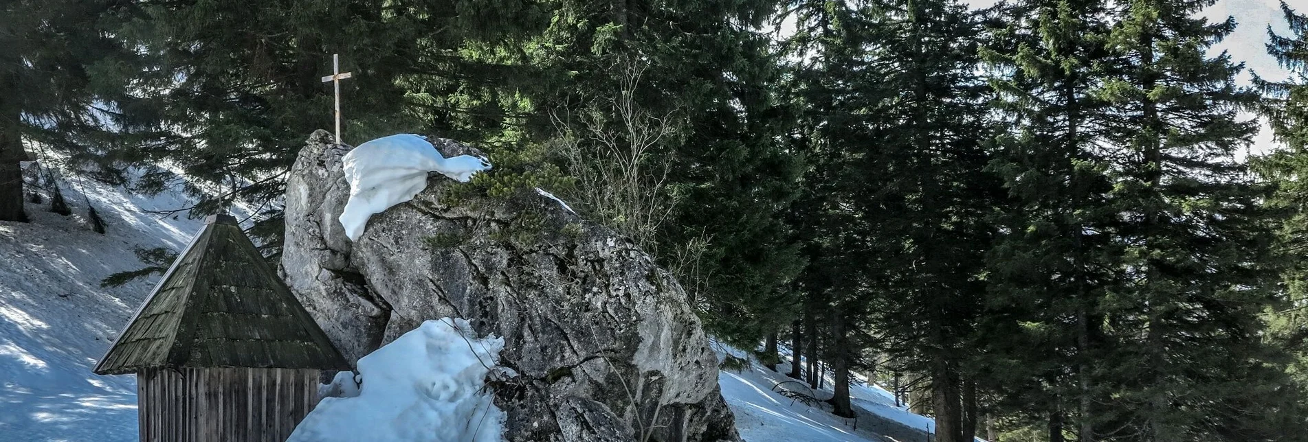 Schneeschuh Auf die Goss in Hinterwildalpen - Touren-Impression #1 | © TV Gesäuse