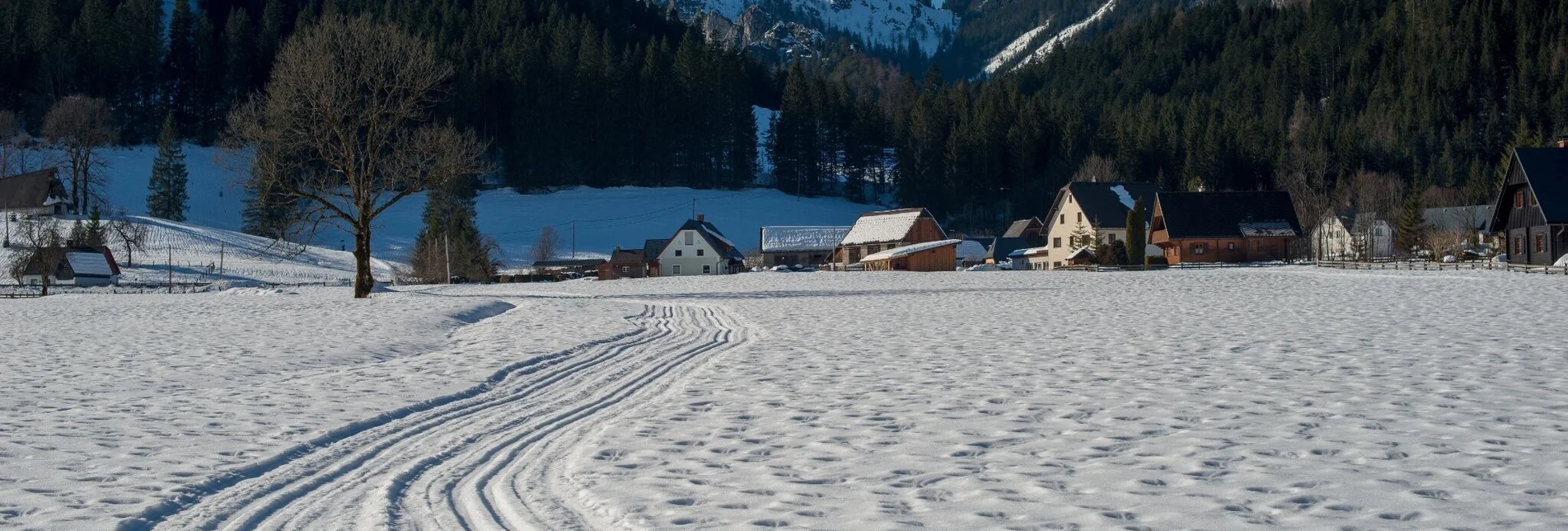 Langlauf klassisch Loipe Hinterwildalpen - Touren-Impression #1 | © TV Gesäuse