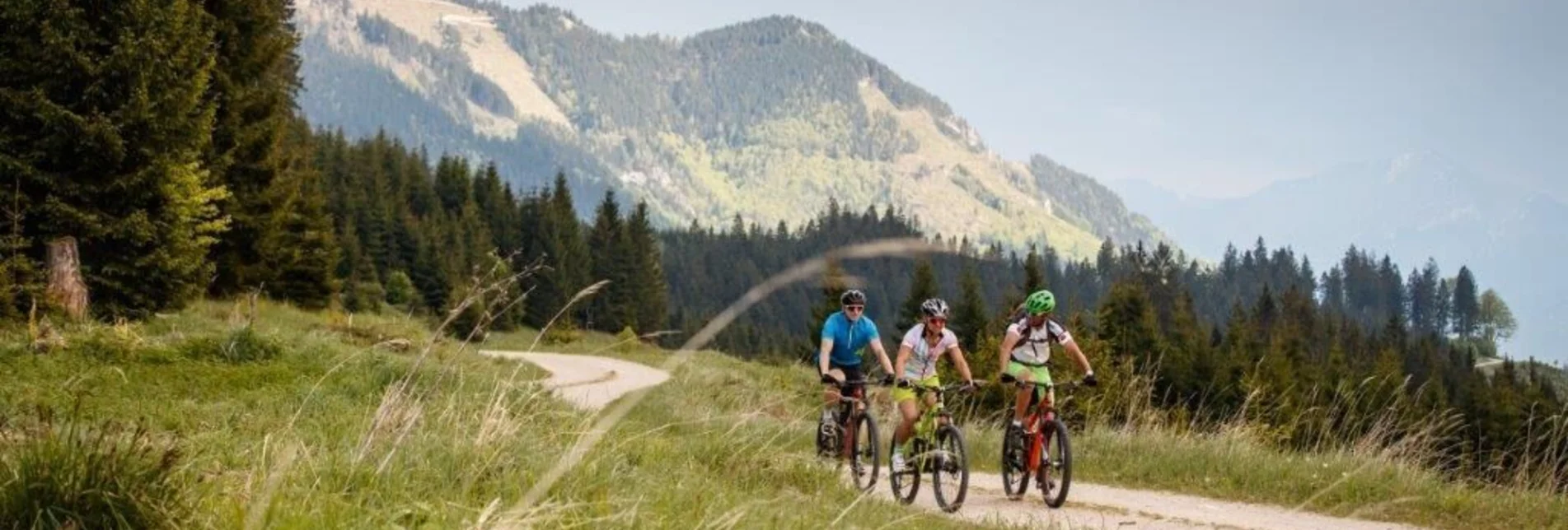 Mountainbike Auf den Spuren der Waldbahn - Touren-Impression #1 | © TV Gesäuse